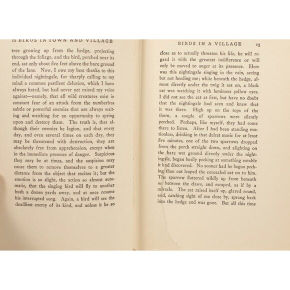 Antique Book "Birds in Town & Village" by W H Hudson, 1920, E P Dutton 1st Ed. - Picture 8 of 9